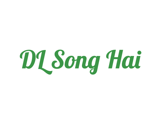 Song Hai Travel